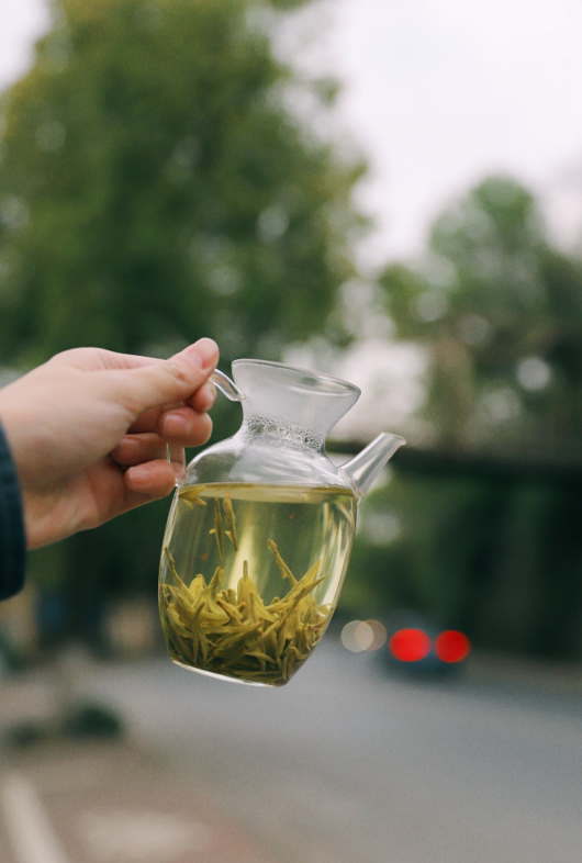 申时茶叙丨知茶气，感喉韵，多喝茶多品茶，资深老茶客养成计划